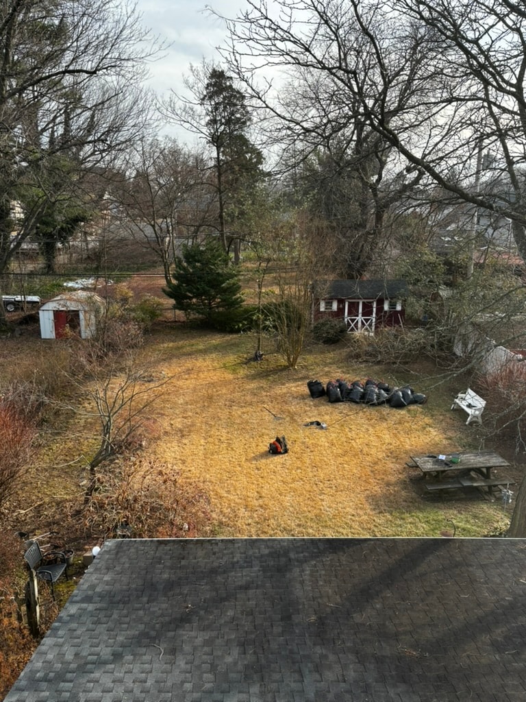 Backyard after a fall leaf cleanup in Aldan, PA