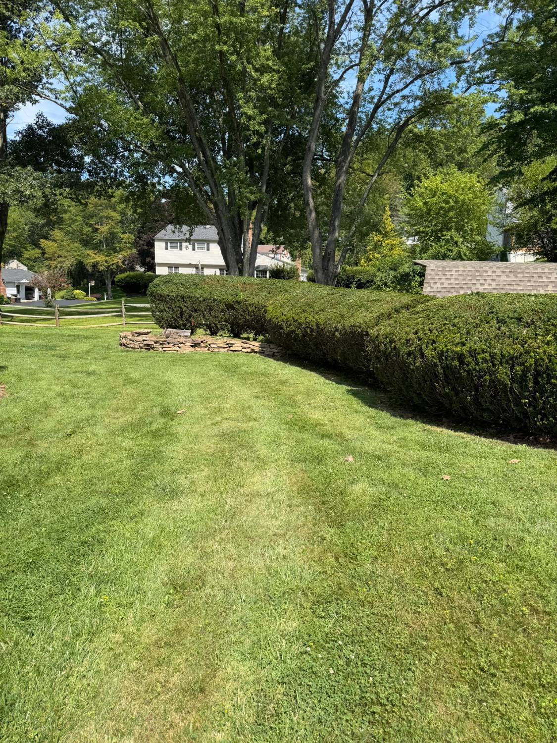 Freshly trimmed hedge line along a rear lawn in West Chester, PA